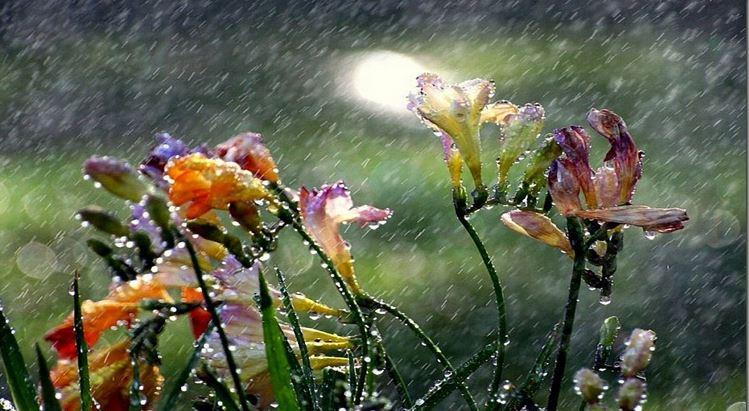 Meteo 20 martie 2019. Vreme &icirc;nchisă și ploi slabe &icirc;n toată țara