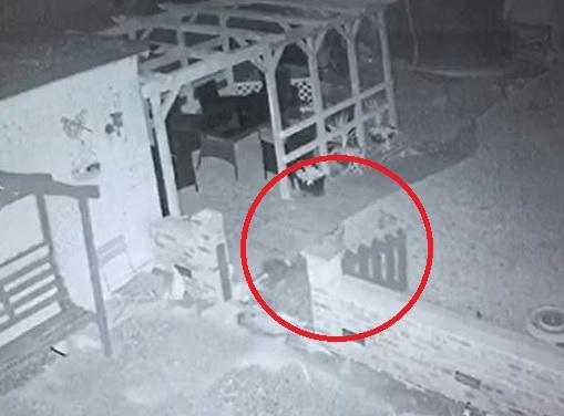 Fenomen paranormal filmat de o femeie, chiar &icirc;n grădina sa! Ce creatură a apărut din &icirc;ntuneric (VIDEO)
