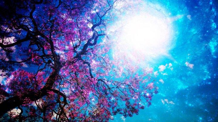 Cum ne este afectată sănătatea de echinocțiul de primăvară! Tot ce trebuie să știi despre fenomenul astronomic