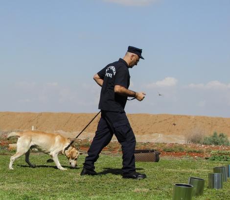 Sherlock Holmes al câinilor polițisti din China a fost clonat. Începutul unei noi ere în poliție?