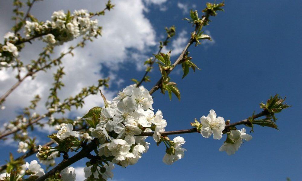 Vremea 30 martie. Prognoza meteo anunță temperaturi &icirc;n creștere