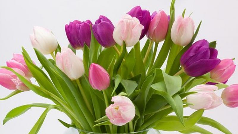 Tradiții de 8 Martie. Ce flori să-i dăruiești de Ziua Femeii și ce e interzis