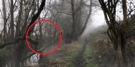Apariție bizară filmată în pădure! Un tânăr a filmat o fantomă (VIDEO)