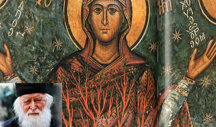 Părintele Sofian: "C&acirc;nd ai un necaz mare, să te rogi Maicii Domnului". Rugăciunea &icirc;n 16 cuvinte