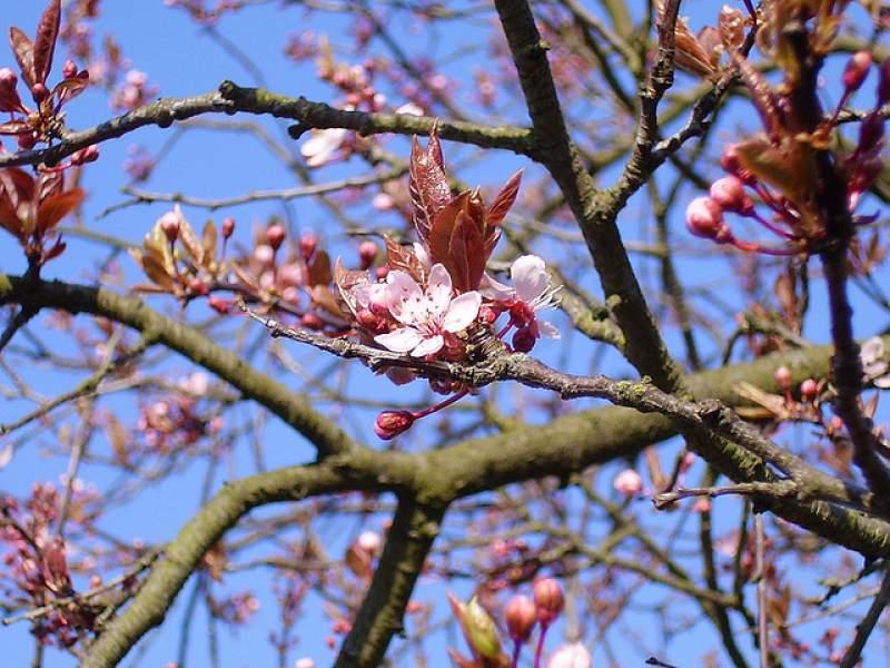 Vremea &icirc;n weekend 8-10 martie. Temperaturi de p&acirc;nă la 25 de grade Celsius