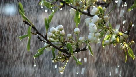 Vremea 2 aprilie 2019. Prognoza meteo anunță ploi și temperaturi scăzute