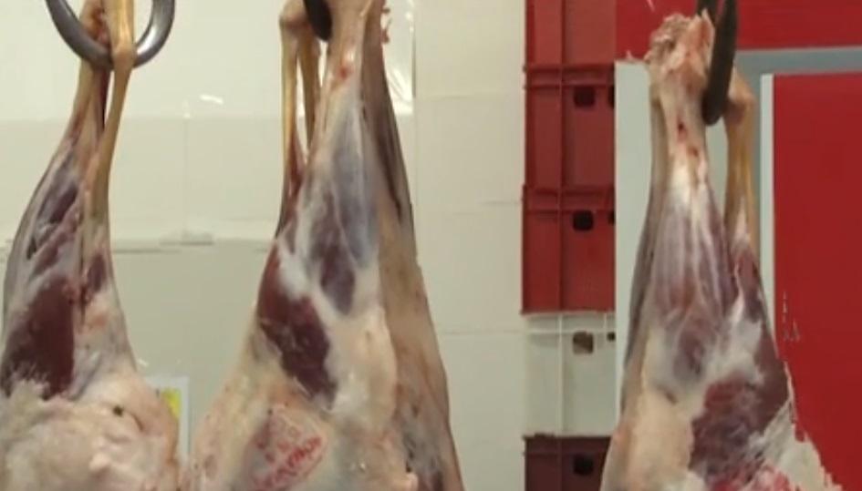 Lovitură grea! Rom&acirc;nii răm&acirc;n fără carne de miel de Paște! Autoritățile au interzis v&acirc;nzarea