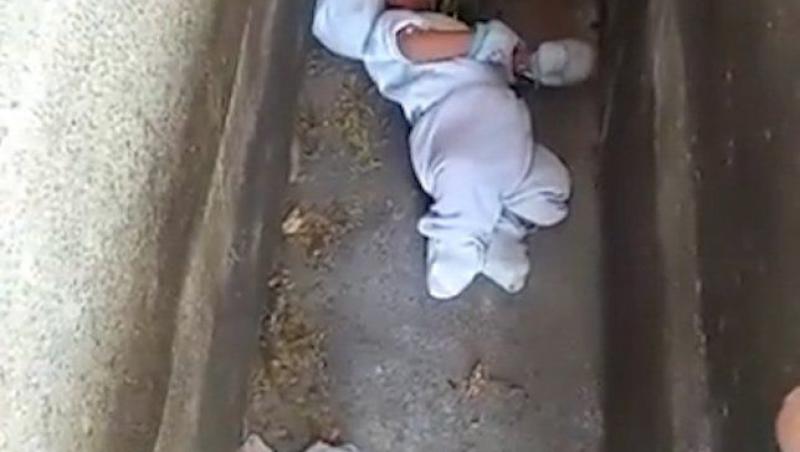Bebeluș de doar câteva săptămâni, părăsit de mamă într-un cavou din cimitir: „Erau șobolani și câini vagabonzi”