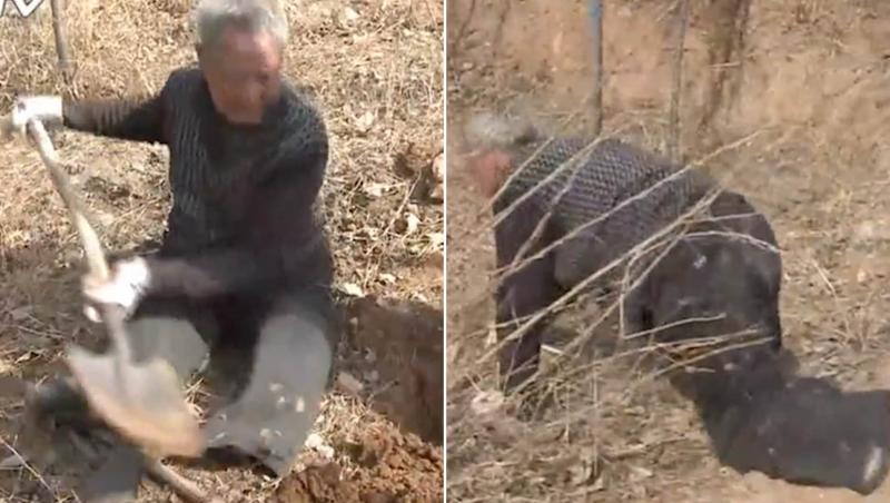 Un bătrân de 70 de ani, fără ambele picioare, a plantat mii de pomi în satul în care locuiește