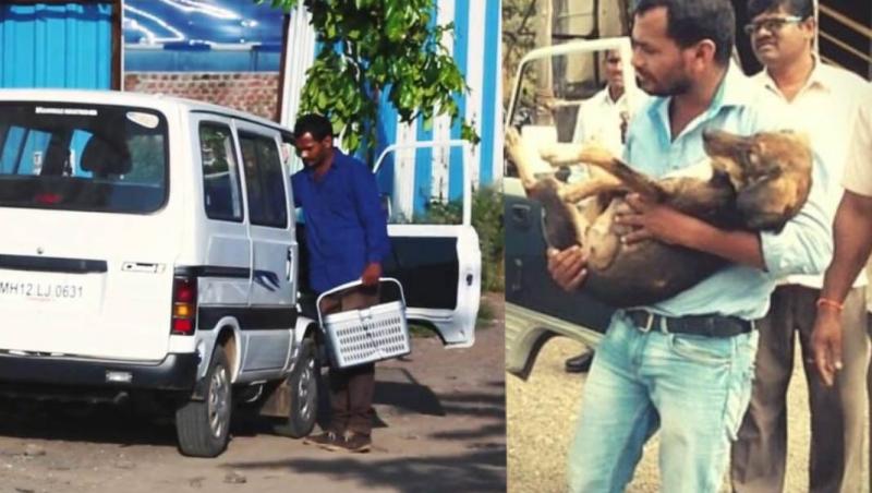 Emoționant! Un bărbat și-a cheltuit toți banii agonisiți în 10 ani pentru a cumpăra o ambulanță cu care poate ajuta animalele chinuite de pe stradă