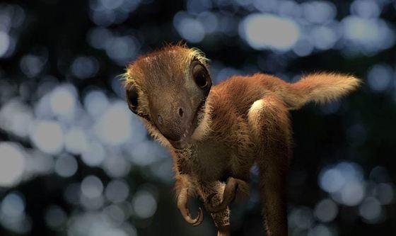 Anunț publicitar. Un pui de dinozaur este scos la v&acirc;nzare: &bdquo;Are o lungime de peste 4 metri şi un craniu cu diametrul de peste 53 de centimetri cu dinţi zimţaţi&rdquo;