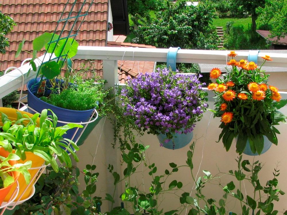 Balconul cu flori: Sfaturi și idei practice pentru amenajarea balconului