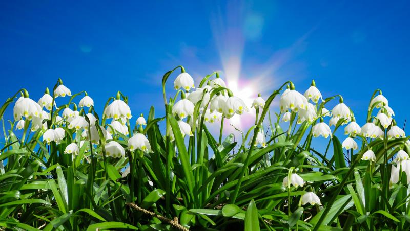 Vremea de Paște 2019 și de Florii. Ce anunță prognoza meteo aprilie 2019