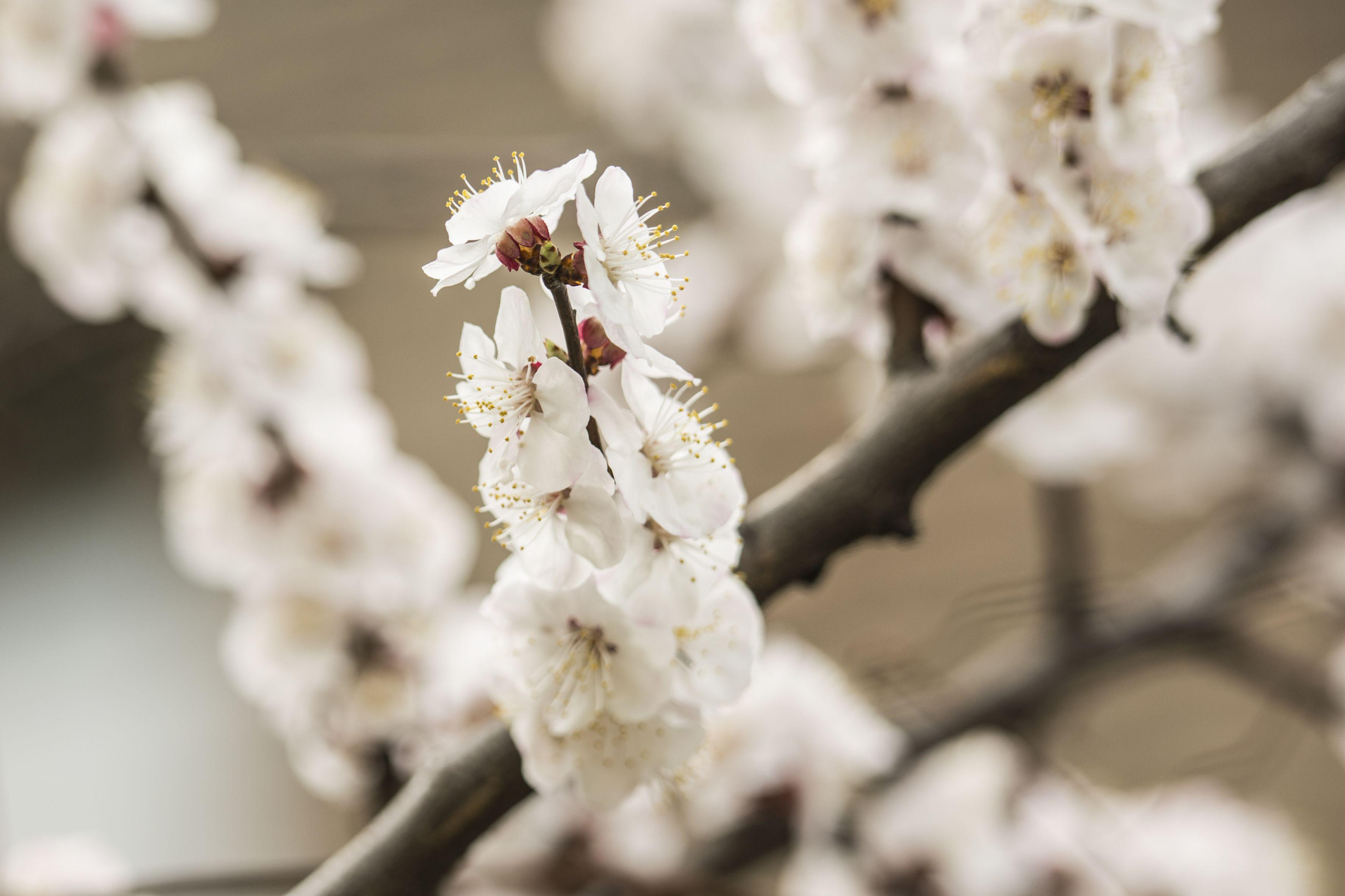 ANM, actualizare estimări meteo. Vremea &icirc;n perioada 2 - 29 aprilie 2019