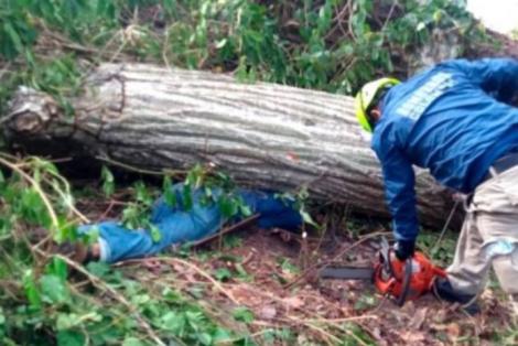 Moarte șocantă înaintea Paștelui! Un bărbat a murit după ce a vrut să își ajute un vecin să taie copacul din curte