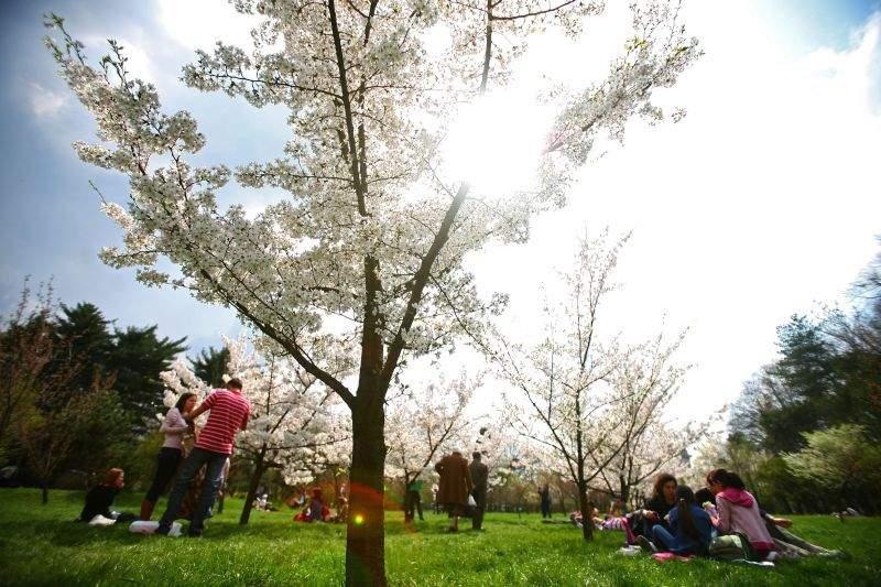 Veremea &icirc;n București 26 aprilie 2019. Meteo Vinerea Mare