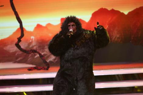 Gorila uriașă King Kong a cântat „Jaga, Jaga” la Scena misterelor, apoi a bătut vedetele din platou! „Mâine voi avea vânătaie” – Video