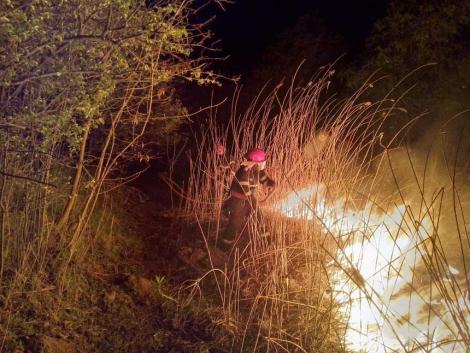 Tulcea: Incendiu de vegetaţie pe zece hectare care risca să cuprindă două pensiuni. Pompierii au intervenit mai multe ore
