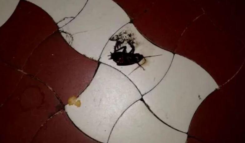 G&acirc;ndacii colcăie &icirc;n secția de Pediatrie a Spitalului Județean din Deva! Părinții sunt distruși de condițiile mizere &icirc;n care sunt tratați copiii lor: "Mi-e sc&acirc;rbă unde trebuie să aducem copiii să &icirc;i tratăm!"