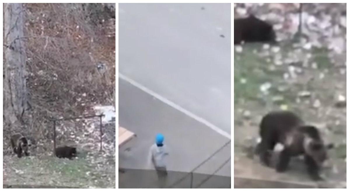 Doi copii filmați &icirc;n timp ce se joacă l&acirc;ngă o ursoaică &icirc;nfometată. Vecinii au &icirc;nceput să strige disperați