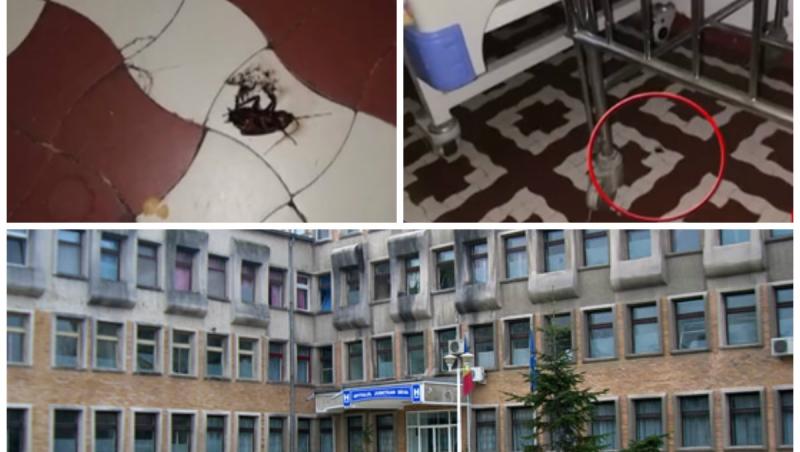 Insecte pozate de părinți în saloanele dintr-o secție de pediatrie a unui spital important din România: „Asta găsim lângă copii”