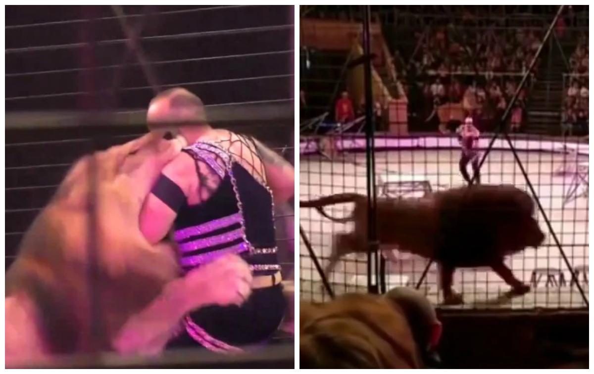 Momentul șocant &icirc;n care un dresor este atacat de un leu, &icirc;n timpul unui spectacol! Copiii din sală au &icirc;nceput să țipe speriați