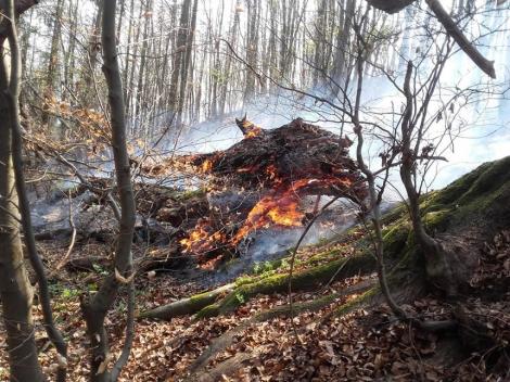 Hunedoara: Şapte hectare de litieră de pădure şi 14 hectare de teren agricol, distruse din cauza incendiilor