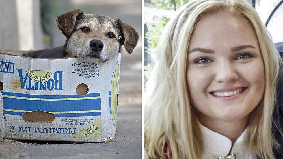 Dragostea pentru animale i-a adus sf&acirc;rșitul! O t&acirc;nără a murit la c&acirc;teva săptăm&acirc;ni după ce a adoptat un pui de cățel de pe stradă