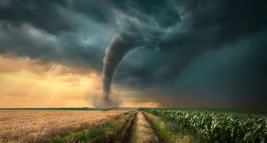 Fenomenele extreme se vor intensifica. Apar boli incontrolabile. Meteorolog: &bdquo;Nu recunoaștem această planetă!&rdquo;