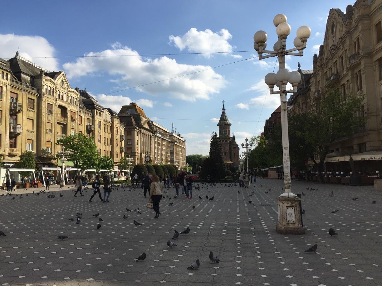 Jaf ln centrul Timișoarei, la o casă de schimb valutar! Hoțul a intrat fără cagulă și a amenințat-o pe casieră cu un cuțit! Cu ce sumă fabuloasă a fugit