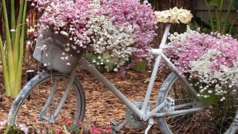 Amenajări grădini. Cum poți utiliza o bicicletă veche într-un mod genial