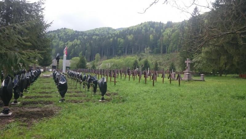 PROFANARE! Ungurii au acoperit cu saci de gunoi crucile eroilor români din cimitirul Valea Uzului!!! ”Sunt amplasate ilegal!”