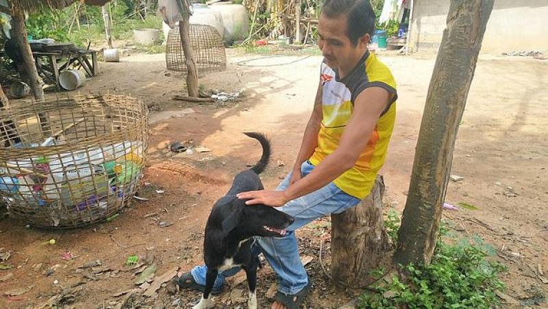 Bebeluș îngropat de viu de mamă, salvat de un câine: Animalul a văzut cum își mișca piciorușul ieșit din pământ