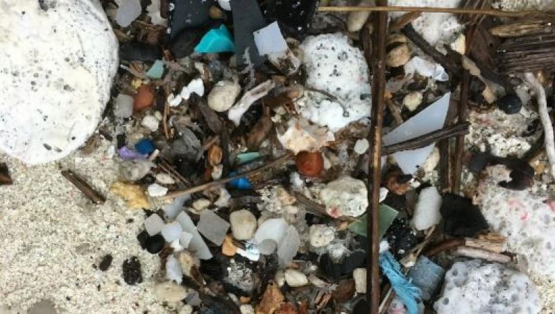 Te doare sufletul! Imaginile sfâșietoare cu cele mai frumoase plaje din Australia, sufocate de 414 milioane de resturi din plastic