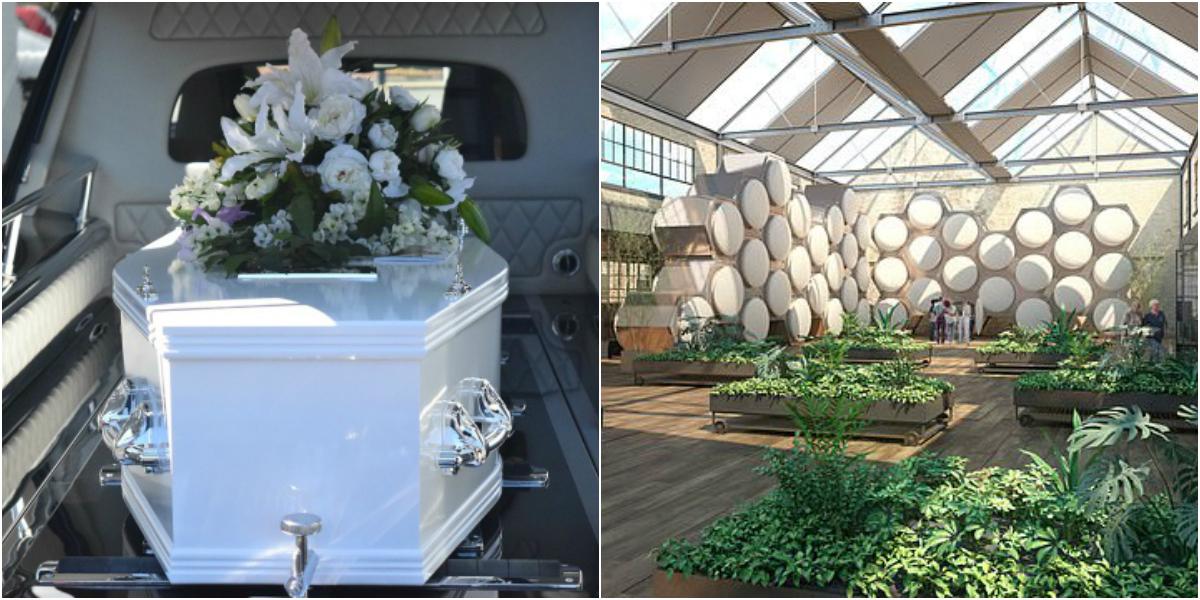 A fost legalizat un nou mod de &icirc;nmorm&acirc;ntare. Cine nu vrea să ajungă cenușă sau oase, poate alege să devină &icirc;ngrășăm&acirc;nt de plante