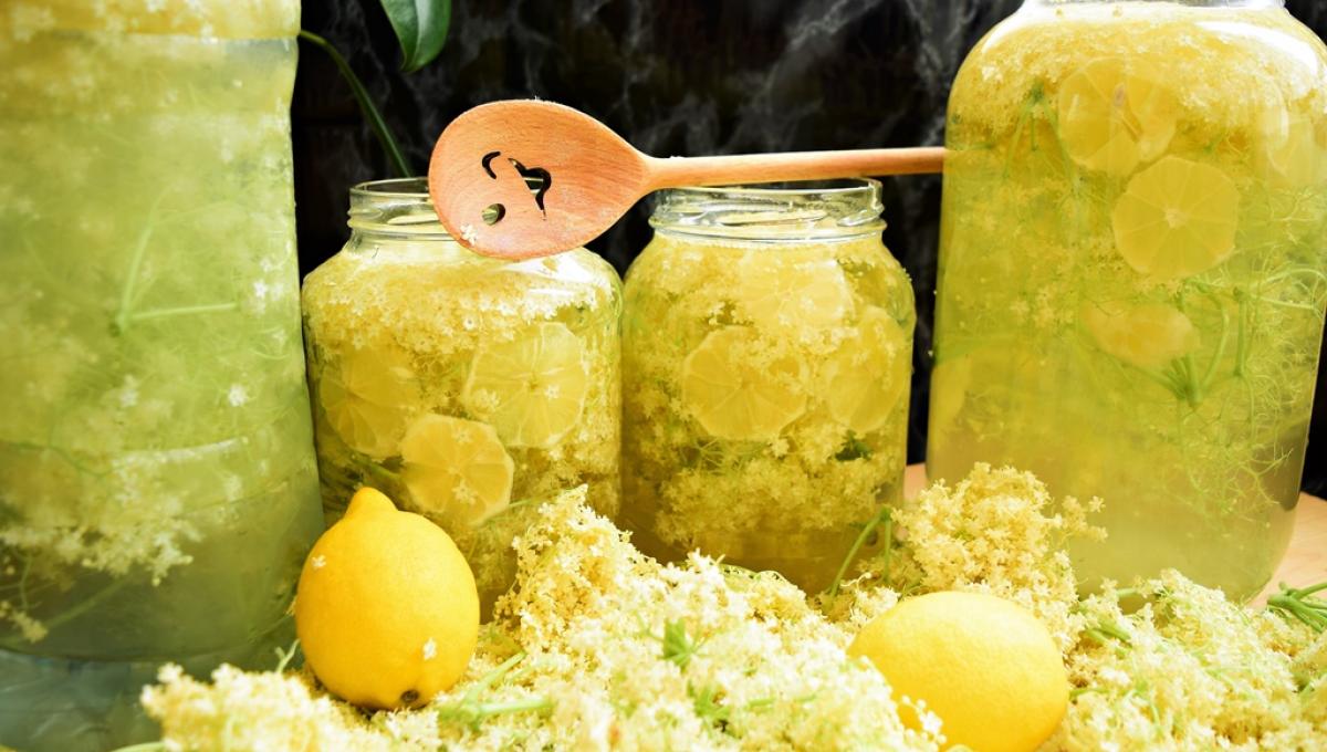 Socată.Trei metode simple de a face socata, băutura cea mai apreciată din sezon