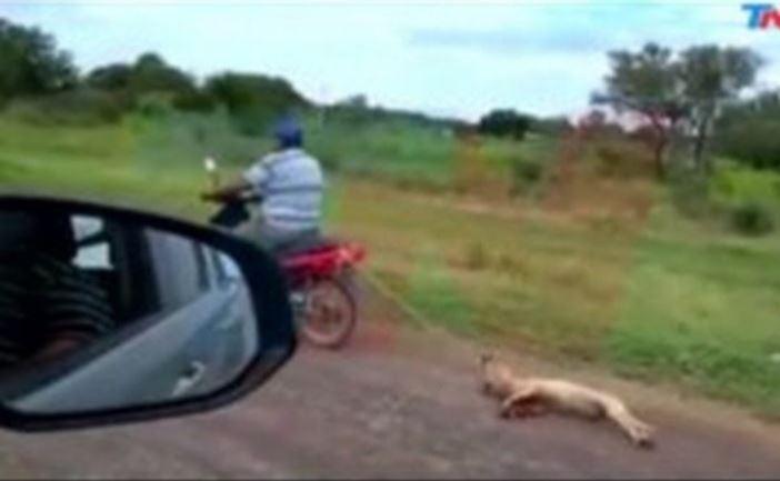 Cruzime rară! Un c&acirc;ine a fost  legat cu o funie de motocicletă și t&acirc;r&acirc;t p&acirc;na s-a stins din viață