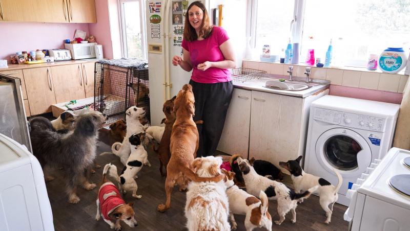 Cum arată casa unei femei care are 22 de câini: „Nu voi renunța la niciunul dintre prietenii mei!”