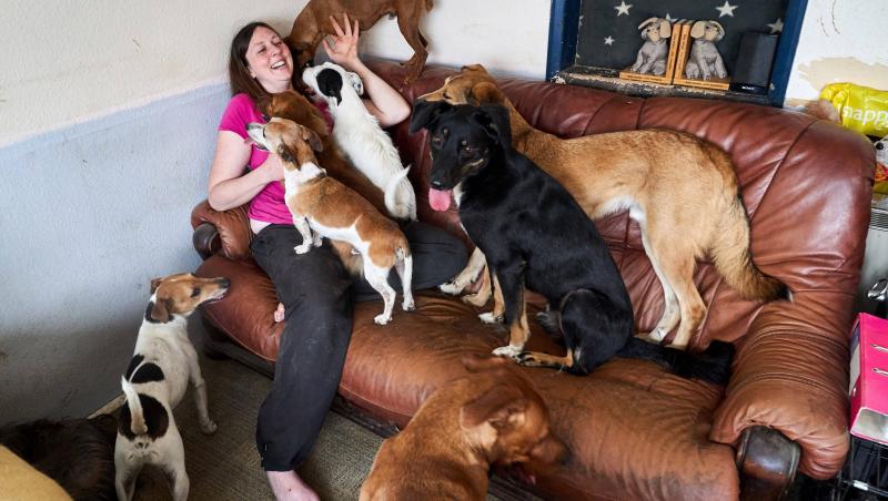 Cum arată casa unei femei care are 22 de câini: „Nu voi renunța la niciunul dintre prietenii mei!”