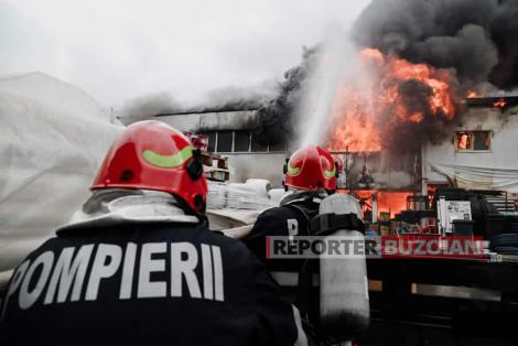 Incendiu de proporţii la un complex de creştere a păsărilor, în Buzău!  Peste 25 de pompieri intervin cu șapte autospeciale