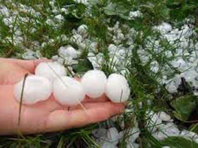 Grindina c&acirc;t oul de porumbel la Giurgiu. Trei minute de ploaie a distrus toate culturile. Video