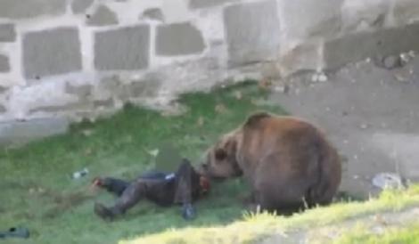 Un bătrân fost sfâșiat de un urs în Bistrița-Năsăud! Localnicii cer uciderea animalului