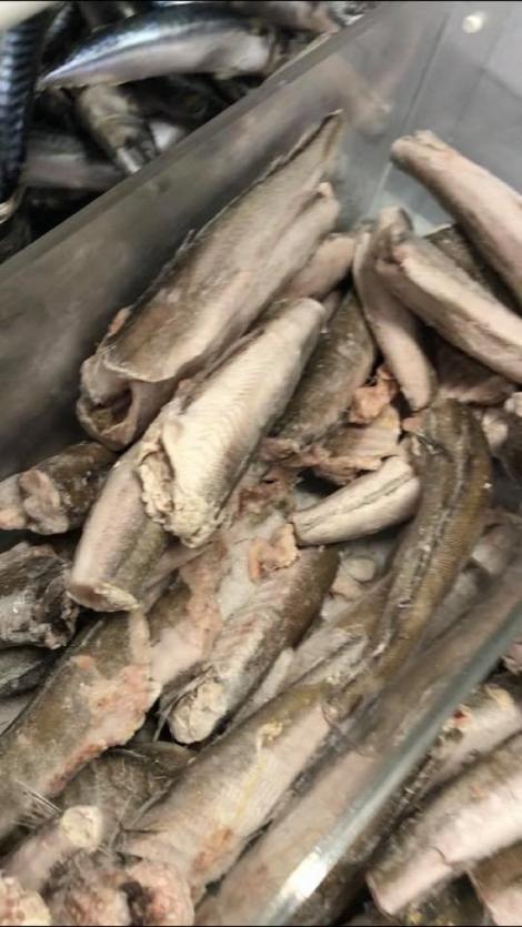 Peste 20 de tone de peşte, preparate şi conserve din peşte alterate, depozitate necorespunzător sau expirate, retrase de la vânzare