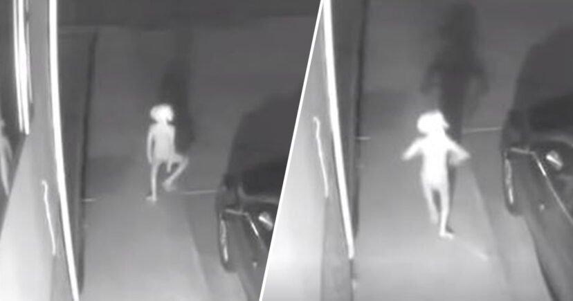 Creatură sinistră surprinsă de camerele de supraveghere