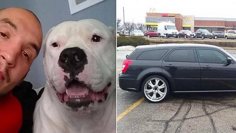 Un bărbat și-a pus mașina la vânzare ca să facă rost de bani pentru a-și salva câinele: ”L-am simţit ca şi cum încerca să-mi spună: ’Ajuta-mă!’”