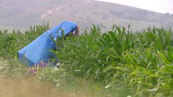 Militar american găsit &icirc;ntr-un lan de porumb, după ce s-a prăbușit &icirc;n timpul unui exerciţiu la baza din Buzău