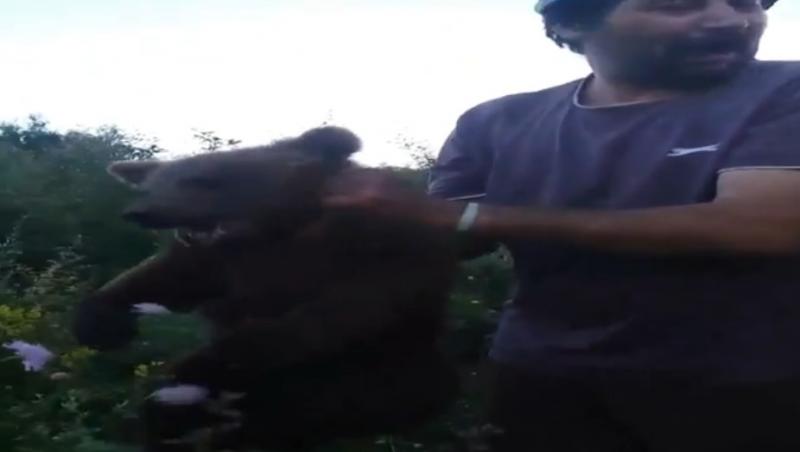 Un pui de urs a fost capturat și torturat, fără milă, de un grup de bărbați din Brașov. Sub ploaia de lovituri, animalul se zbate să scape