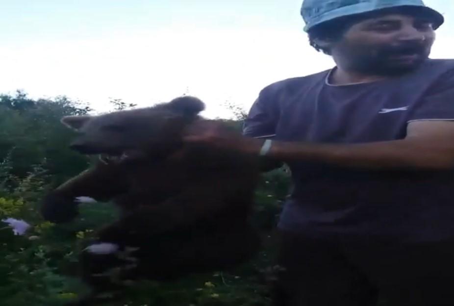 Apel către populație: Cine &icirc;i recunoaște pe bărbații care au chiunuit puiul de urs din Brașov?