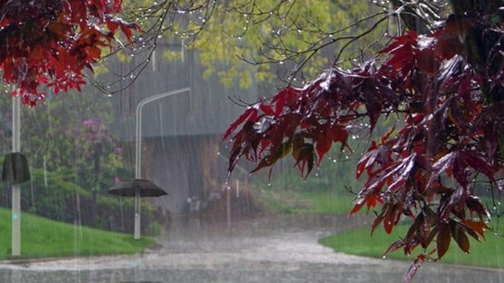 Vremea 19 iunie 2019. Manifestări de instabilitate atmosferică temporar accentuată