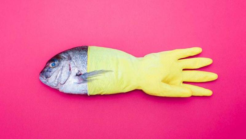 Imagini cu anomalii pe care le-ar putea dezvolta peştii afectaţi de poluarea oceanelor | GALERIE FOTO